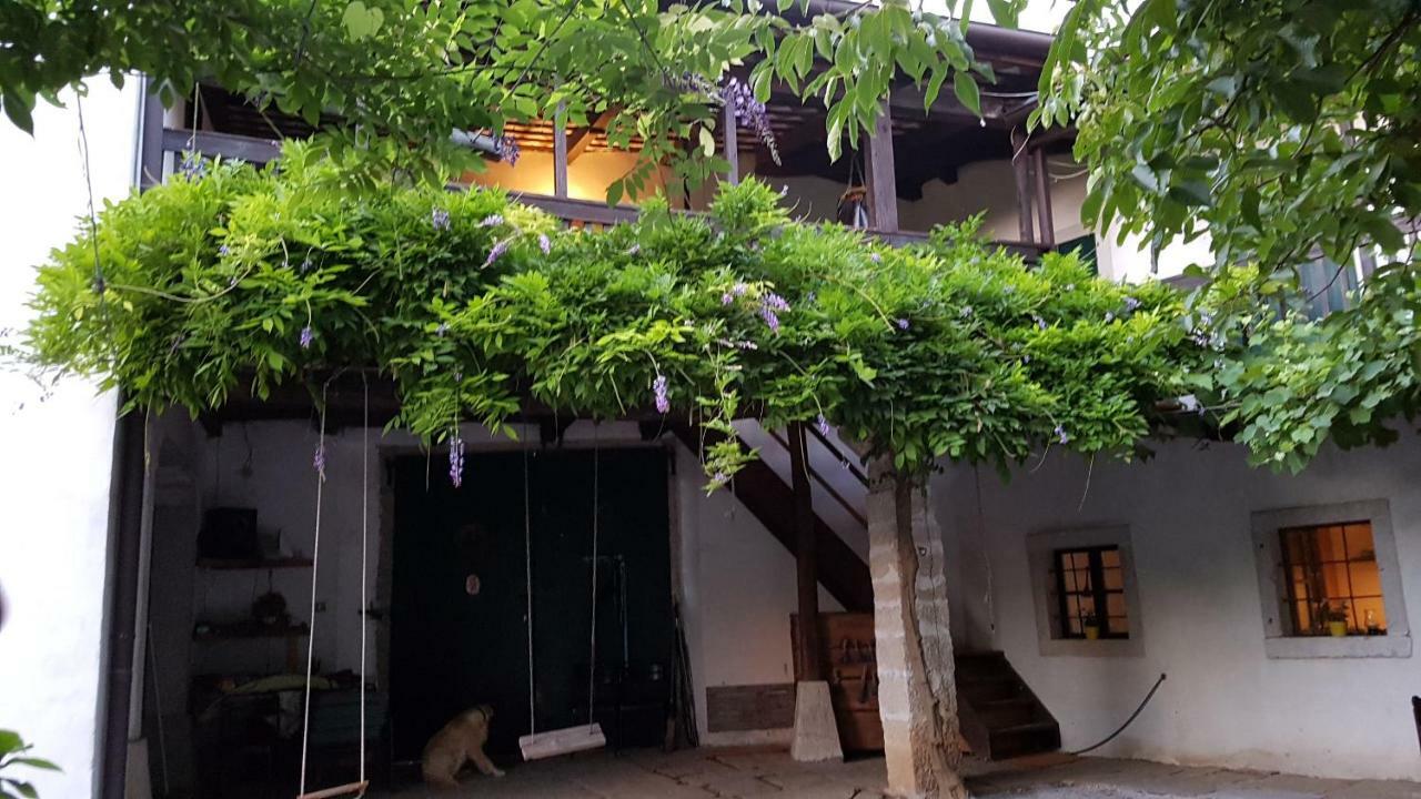 Apartmaji Hedera โคเมน ภายนอก รูปภาพ